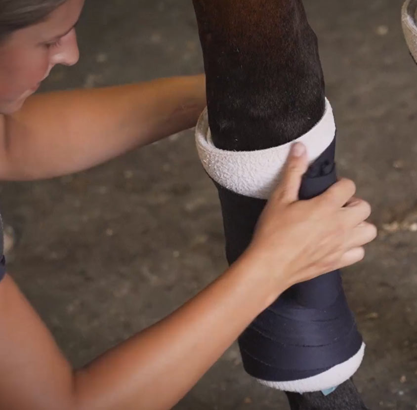 horseRAP® chestRAP™ Wound Wrap by SolEquine®